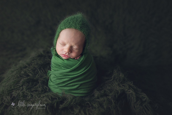 Baby Hudson (9)
