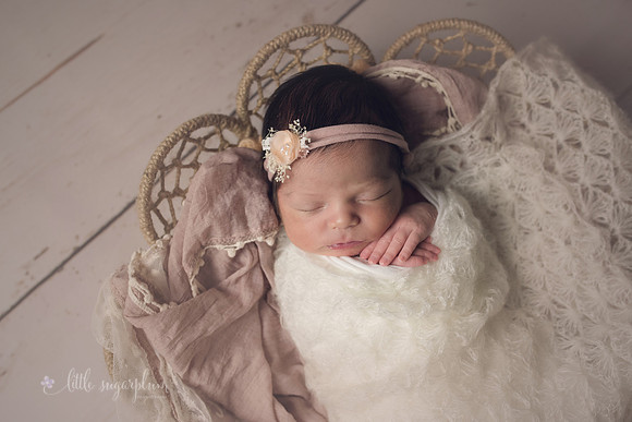 Baby Aspen (15)