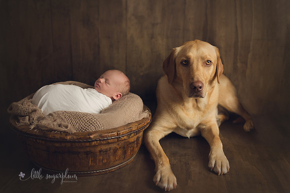Baby Hudson (3)