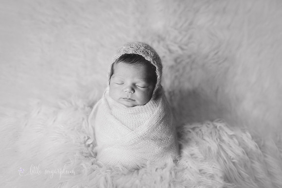 Baby Aspen (9) BW