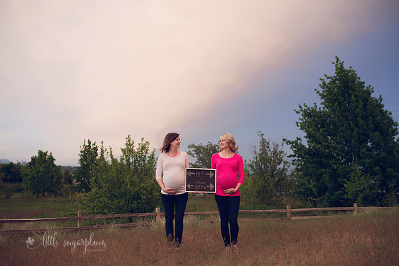 Jenn & Stephanie Maternity Session  (196)