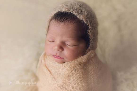 Baby Aspen (10)