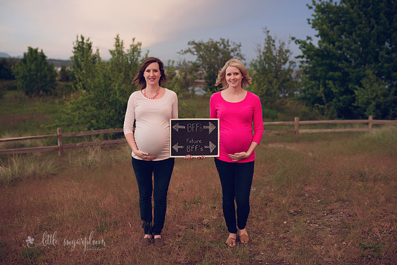 Jenn & Stephanie Maternity Session  (194)