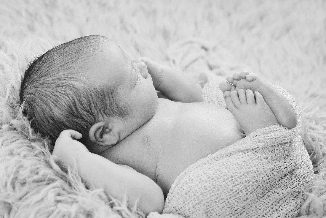 Baby Austen  (38)