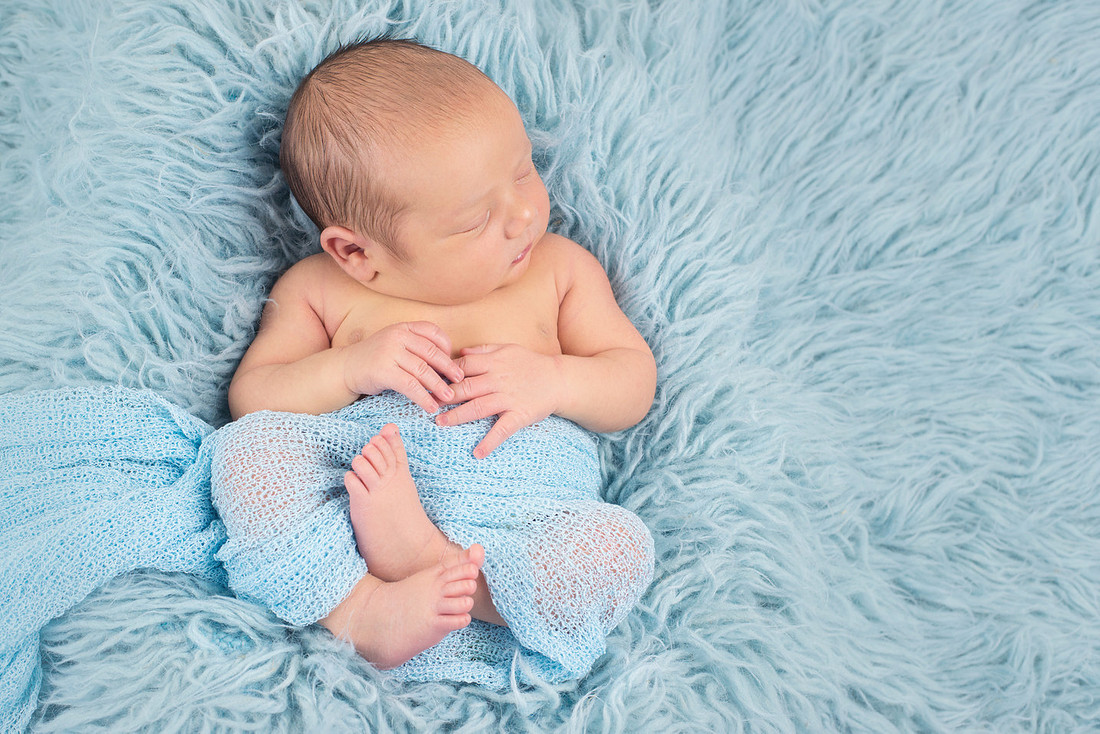 Baby Austen  (39)