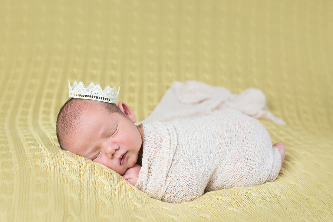 Baby Austen  (3)